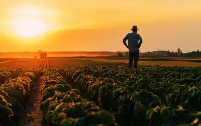 O desafio do agronegócio até 2050 não é produzir mais e sim produzir melhor